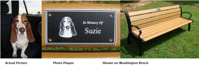 Bench Accessories Custom Engraved Donor Memorial Benches Photo