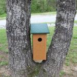 birdhouse